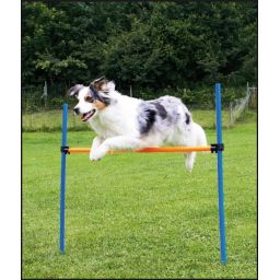 Barra de salto para agility